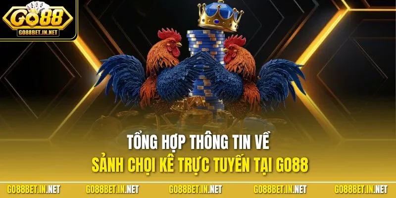 Tổng hợp thông tin về sảnh chọi kê trực tuyến tại GO88